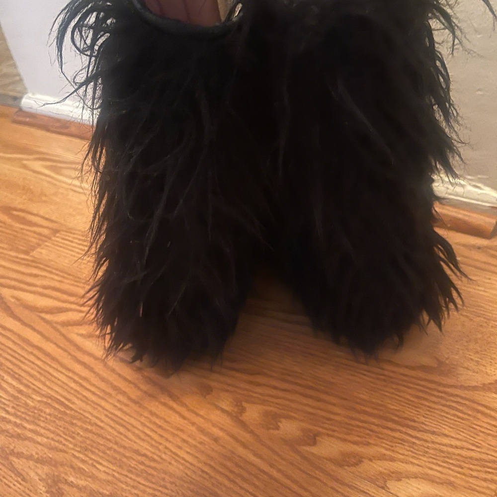 Oscar - Picture 3 of 7